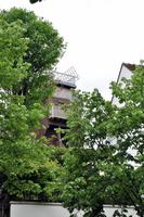 Rundgang im Montmartre-Viertel