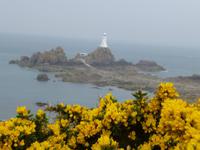 Jersey - Landschaft mit Corbiere Leuchtturm