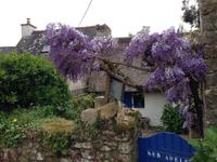 10-23_Île aus Moines.JPG