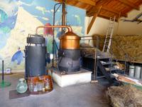 Wasserdampfdestillation ist der übliche Weg, ätherisches Öl aus Lavendel zu gewinnen