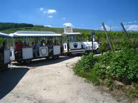 Zugfahrt bei Dambach