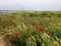 Wanderung zum Phare d'Eckmühl