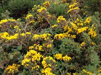 Wanderung zur Pointe du Raz