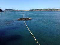 Blick auf St. MaloJPG