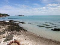 Austernprobe in Cancale