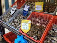 Austernprobe in Cancale