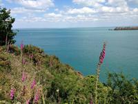 Wanderung zur Pointe du Grouin
