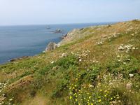 IMG_8862Pointe du Raz