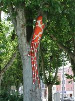 Macon, Platane, Tintenfischkrankheit