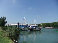 Avignon, Stella und Luna