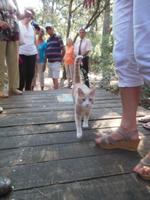 Vielleicht kannte sie noch Cézanne? 