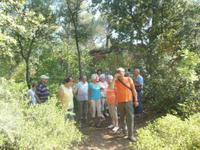 in den Steinbrüchen Bibémus 