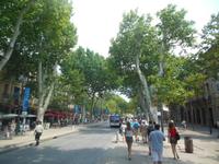 Cour Mirabeau in Aix-en-Provence 