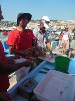 Frisches aus dem Meer-nur keine Seeigel 