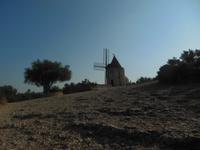 die Mühle von Daudet in den Alpillen 