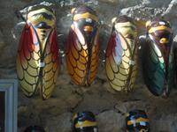 Zickaden in Les Baux-de-Provence.