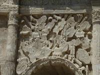 Monumetaltor in Orange 