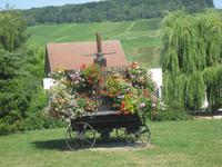 Blumenwagen in Chaméry in der Champagne