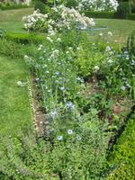 Garten in Viels Maisons