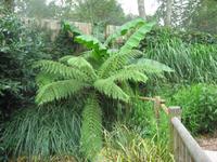 Zoologischer Garten in Champrépus