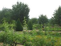 St.-Georges de Boscherville