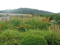 St.-Georges de Boscherville