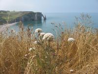 Etretat