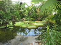 Jardins Suspendus, Le Havre