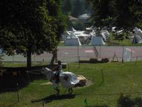 Comps sur Artuby_ Verdonschlucht mit mittelalterlichem Fest 