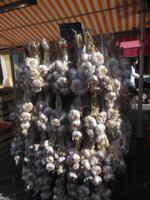 Knoblauch (ail) in Nizza 