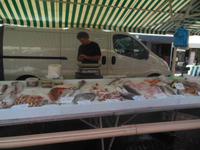 frischer Fisch in NIzza 
