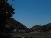 Abtei Senanque im Luberon mit Lavendelfelder 