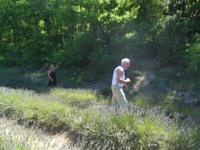 Abtei Senanque im Luberon mit Lavendelfelder 