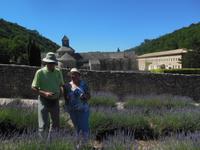 Abtei Senanque im Luberon mit Lavendelfelder 