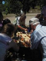 Picknick im Luberon 