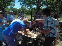 Picknick im Luberon 