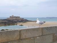 Rundreise Normandie & Bretagne