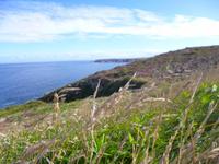 An der westlichsten Landspitze Frankreichs, die Pointe du Raz