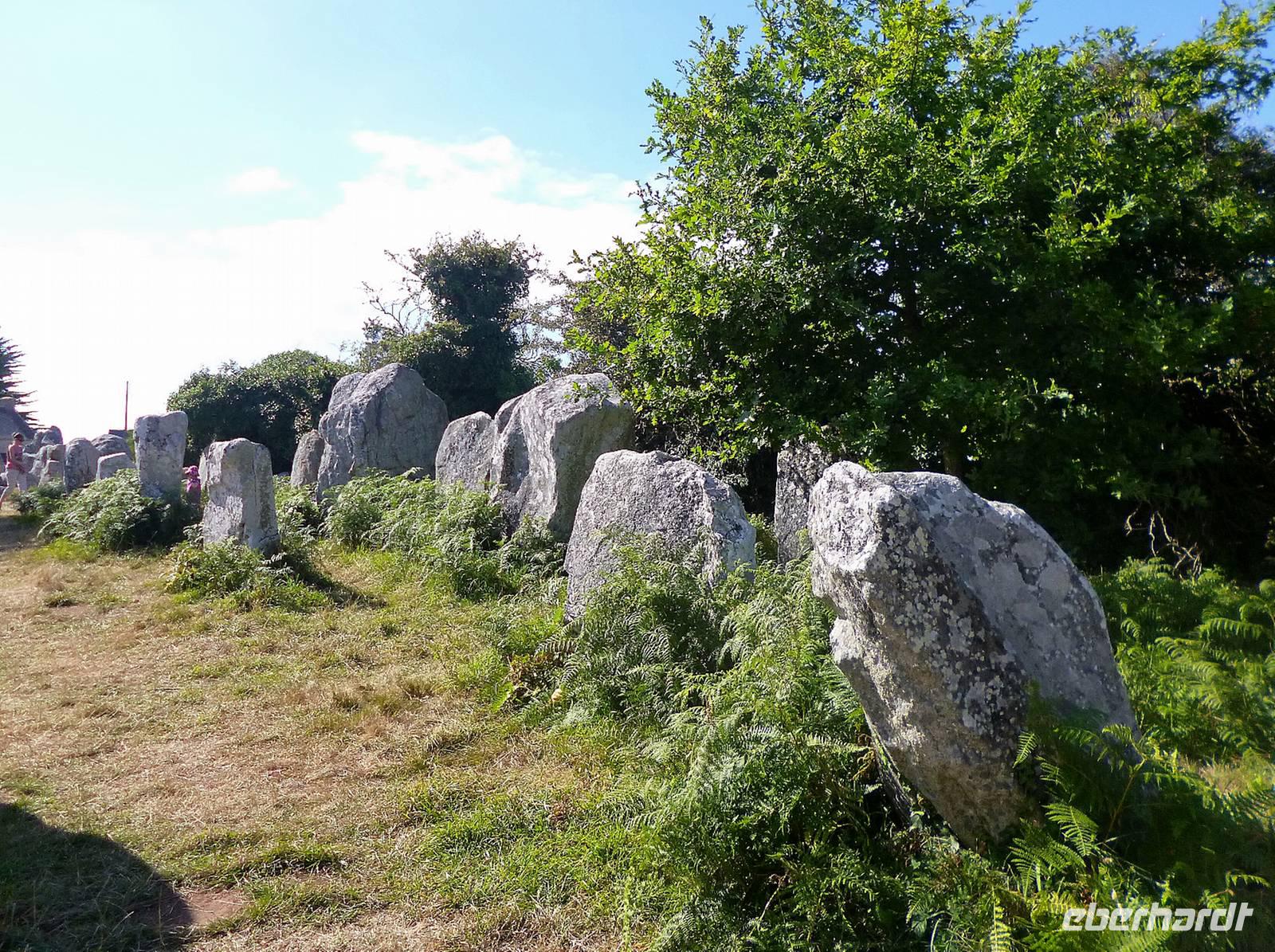 Menhire von Kerzerho in der Nähe von Carnac
