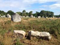 IMG_0327_Alignements von Carnac