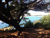 IMG_0663Rosa Granitküste