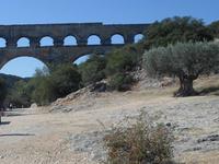 am Pont du Gard