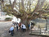 Strasbourg - Gerberviertel 