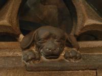 Strasbourg - im Münster der Hund