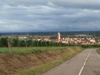 Elsässer Weinstrasse