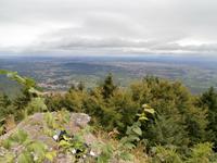 Kloster Mont Sainte Odile-Blick in Elsässische Ebene