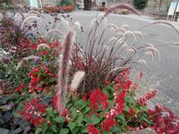 Dambach La Ville-Blumenschmuck