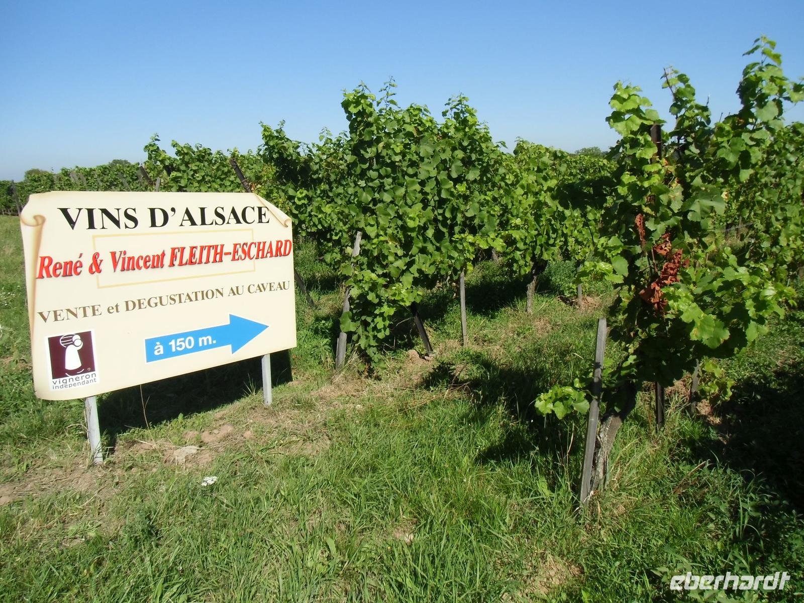 Weinlagen, so weit das Auge reicht