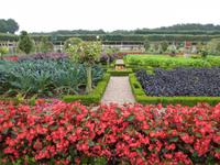 Château et Jardins Villandry 