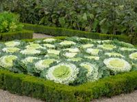 Château et Jardins Villandry 